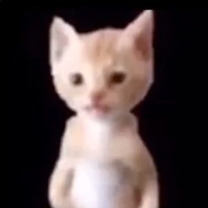 Meet your Posher, Nina